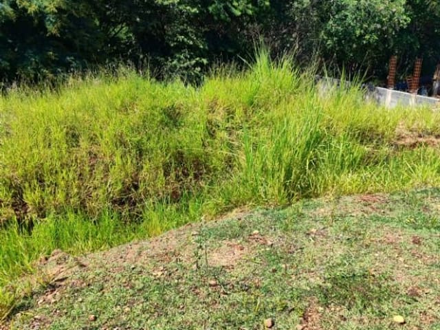 Foto do Terreno - Terreno à venda, 450 m² por R$ 533.333,33 -  Jardim California - Jacareí/SP | INDEPENDENCE NEGOCIOS IMOBILIARIOS LTDA