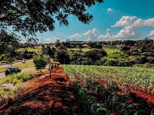 Terreno com 30000m², à venda, no bairro Indústrias Leves em Londrina