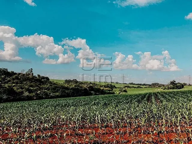 Terreno com 30000m², à venda, no bairro Indústrias Leves em Londrina