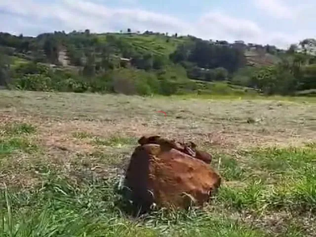 Terreno com 5000m², à venda, no bairro ITAÚNA em Ibiporã