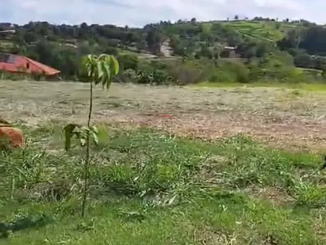 Terreno com 5000m², à venda, no bairro ITAÚNA em Ibiporã
