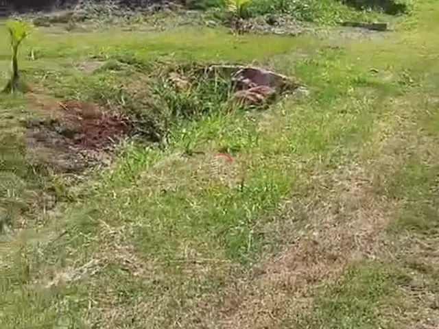 Terreno com 5000m², à venda, no bairro ITAÚNA em Ibiporã