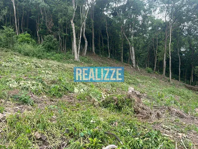 Terreno com 5000m², à venda, no bairro Gruta do Rio Marau em Marau