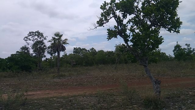 Foto do Terreno - Terreno à Venda, Zona rural, José de Freitas, PI | Cristina Lopes Imobiliária