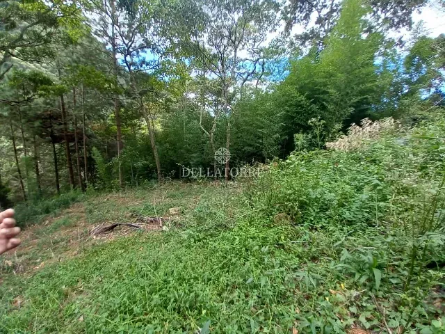 Terreno com 670m², à venda, no bairro Cascata dos Amores em Teresópolis
