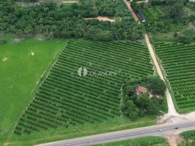 Terreno com 40314m², à venda, no bairro Bairrinho em Artur Nogueira