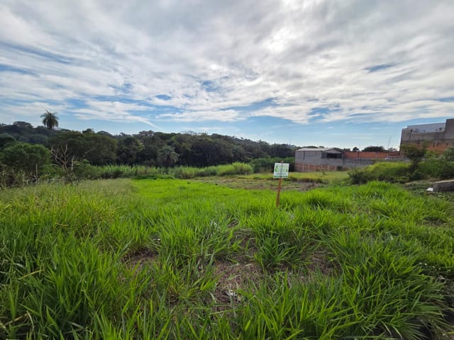Terreno com 462m², à venda, no bairro Jardim dos Ipês III em São João da Boa Vista