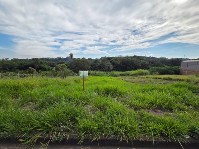 Terreno com 462m², à venda, no bairro Jardim dos Ipês III em São João da Boa Vista