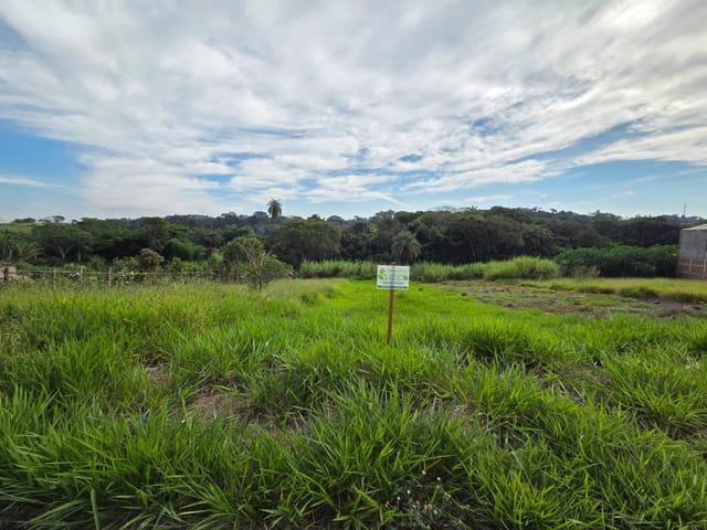 Terreno com 462m², à venda, no bairro Jardim dos Ipês III em São João da Boa Vista
