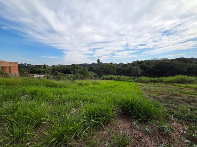 Terreno com 462m², à venda, no bairro Jardim dos Ipês III em São João da Boa Vista