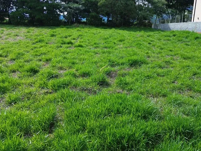 Terreno com 1000m², à venda, no bairro Loteamento Morada do Gigante II em Joanópolis