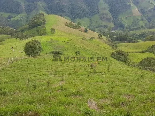 Terreno com 140000m², à venda, no bairro Sertão Pequeno em Delfim Moreira