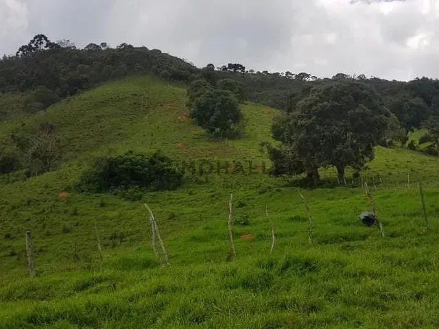 Terreno com 140000m², à venda, no bairro Sertão Pequeno em Delfim Moreira