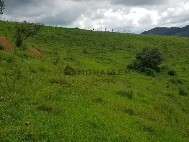 Terreno com 140000m², à venda, no bairro Sertão Pequeno em Delfim Moreira