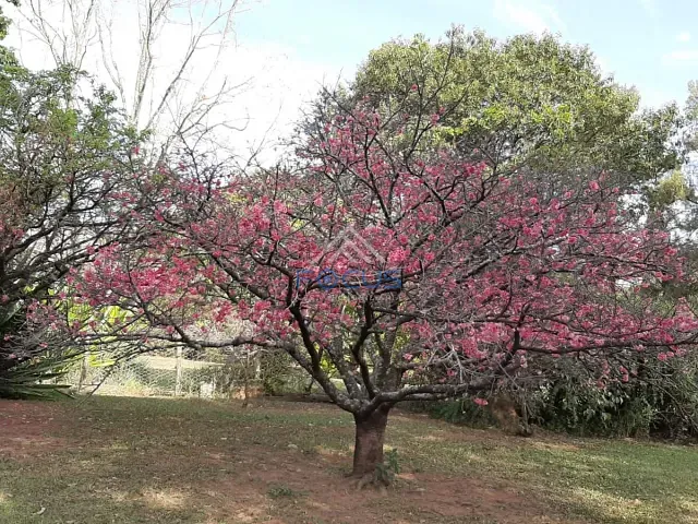 Terreno com 5000m², à venda, no bairro Chácara Malota em Jundiaí