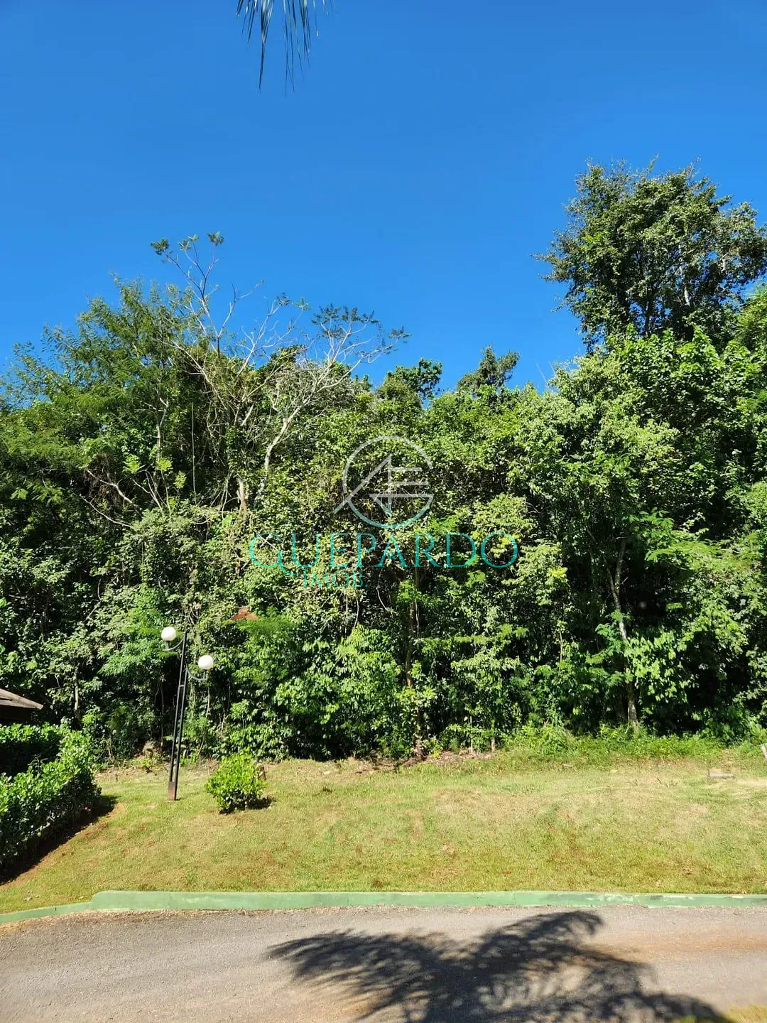 Terreno, 300 m² - Foto 5