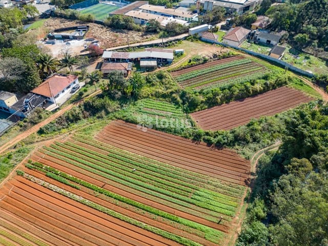 Terreno com 38000m², à venda, no bairro Jardim Britânia em São Paulo