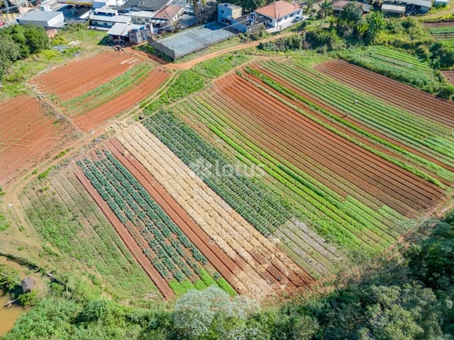 Terreno com 38000m², à venda, no bairro Jardim Britânia em São Paulo