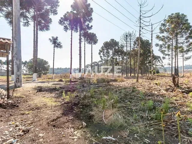 Terreno com 6m², à venda, no bairro Rio Pequeno em São José Dos Pinhais