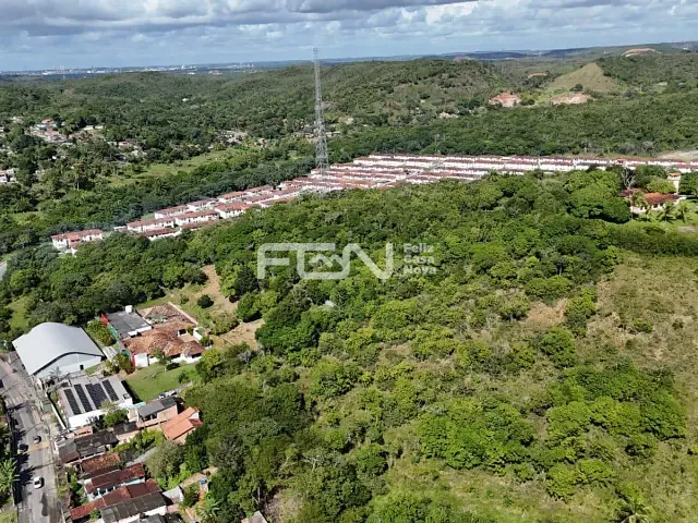 Terreno com 164000m², à venda, no bairro Mata em Mata de São João