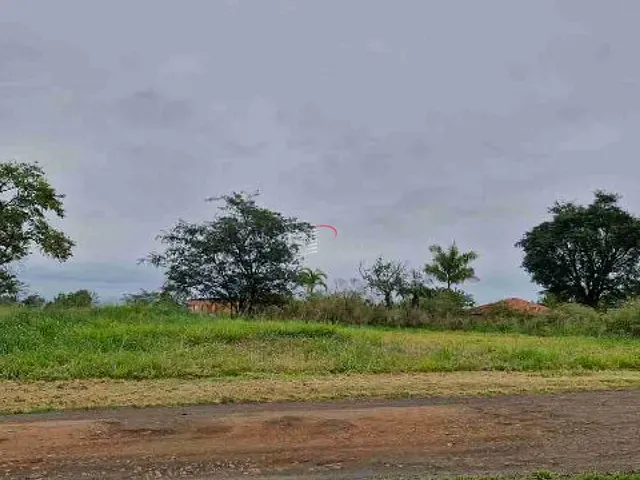 Terreno com 5000m², à venda, no bairro Centro em Ibiporã