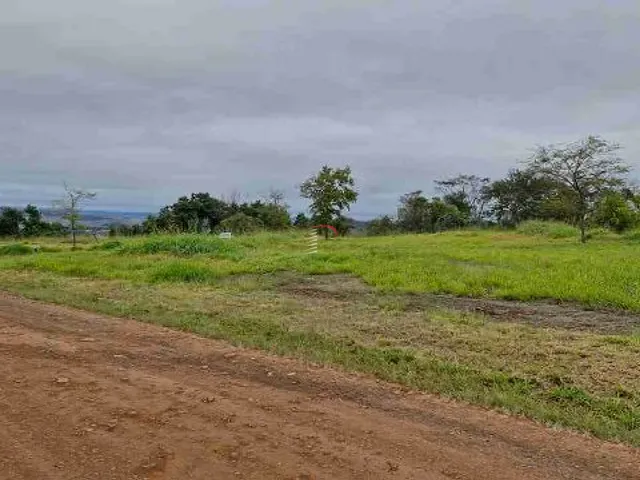 Terreno com 5000m², à venda, no bairro Centro em Ibiporã