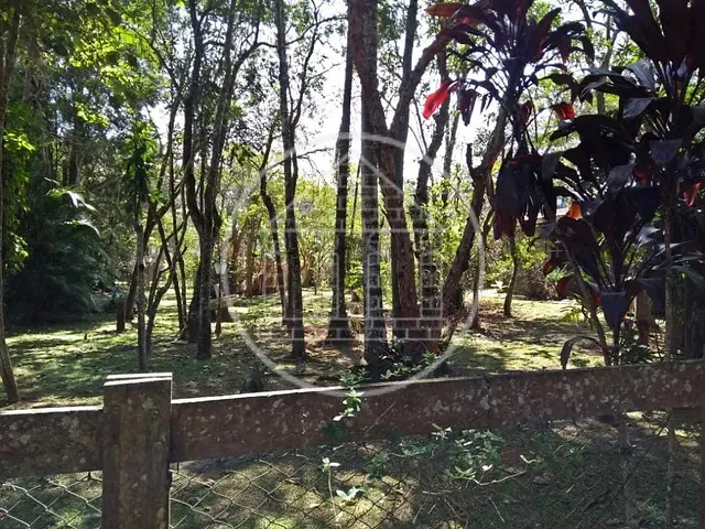 Terreno com 250m², à venda, no bairro Jardim das Palmeiras (Zona Sul) em São Paulo