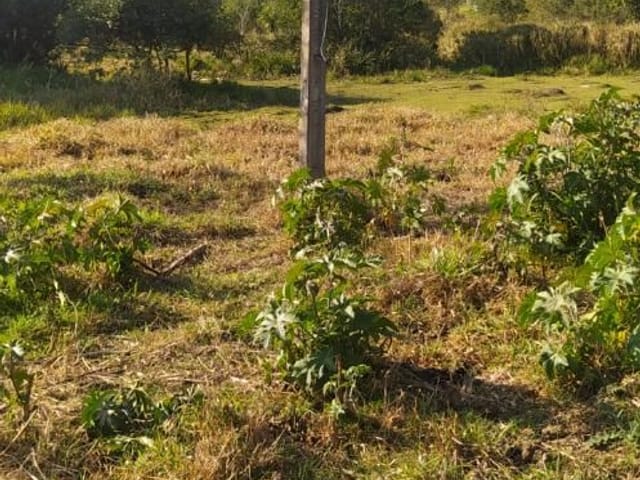 Terreno com 2650m², à venda, no bairro Salto em Extrema
