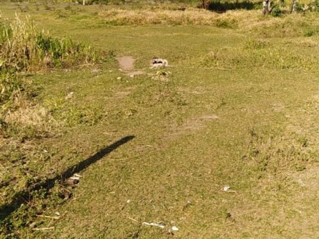 Terreno com 2650m², à venda, no bairro Salto em Extrema