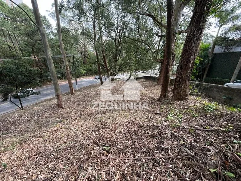Terreno, 602 m² - Foto 10