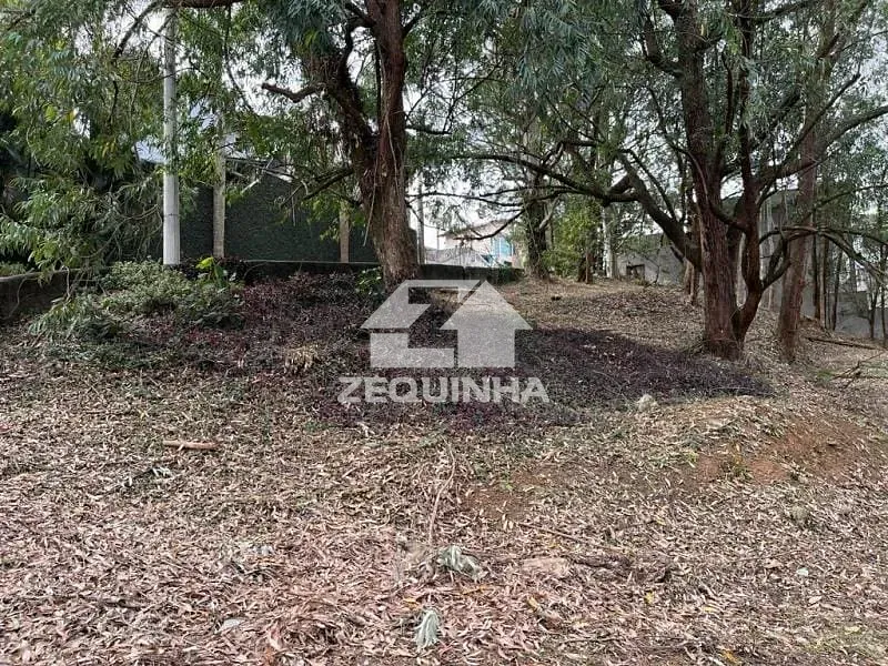 Terreno, 602 m² - Foto 4