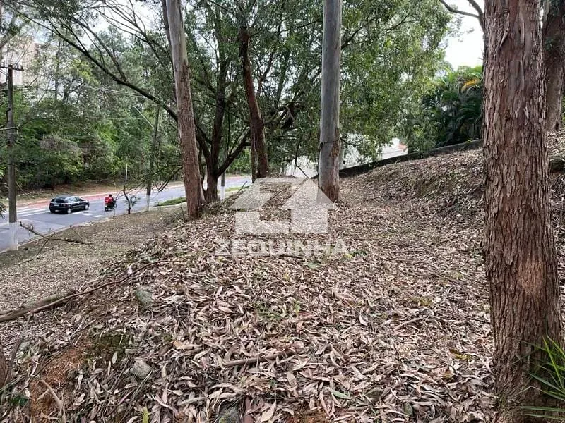 Terreno, 602 m² - Foto 9