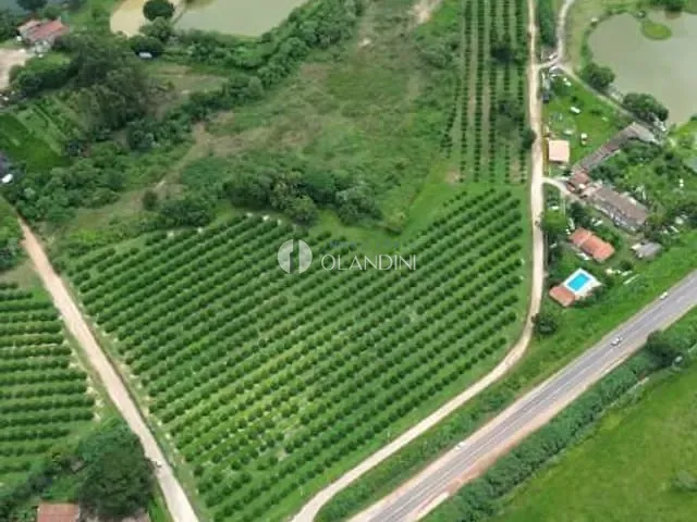 Terreno com 69046m², à venda, no bairro Bairrinho em Artur Nogueira