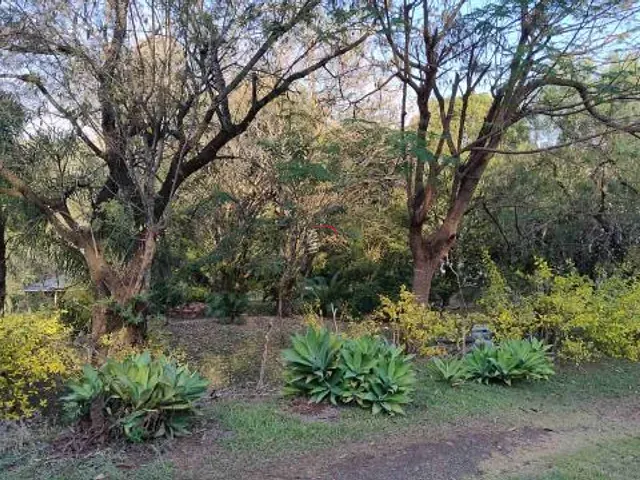 Terreno com 5000m², à venda, no bairro Zona Rural em Ibiporã