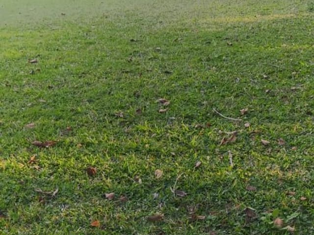 Terreno com 1345m², à venda, no bairro Tenentes em Extrema