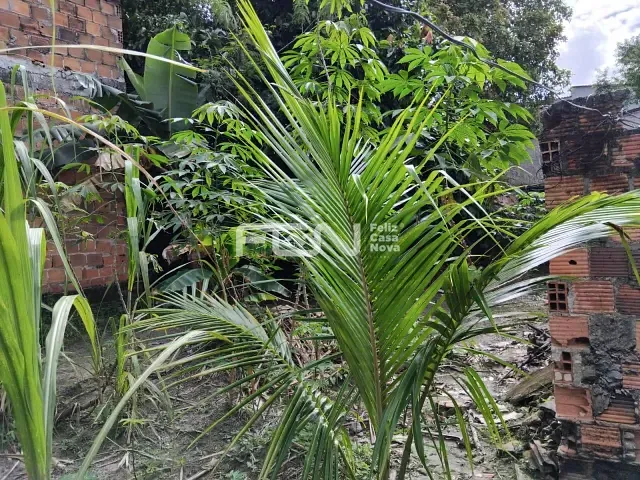 Terreno com 450m², à venda, no bairro Campo Alegre em Dias D'Ávila