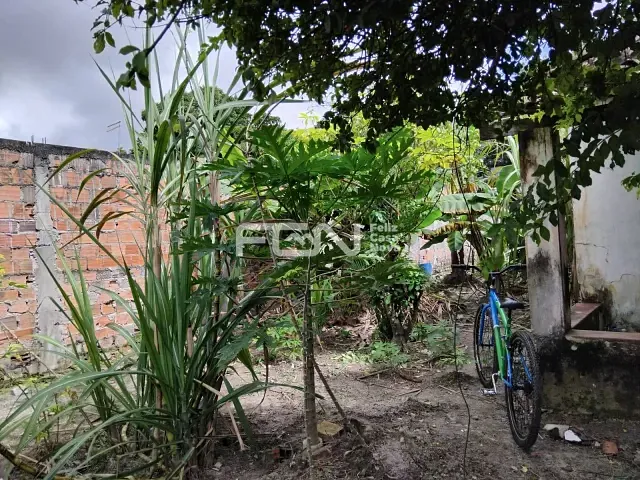 Terreno com 450m², à venda, no bairro Campo Alegre em Dias D'Ávila