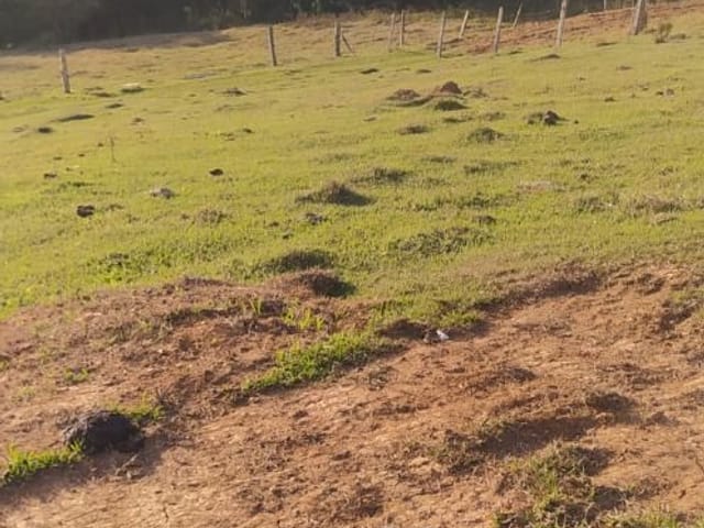 Terreno com 3197m², à venda, no bairro Tenentes em Extrema