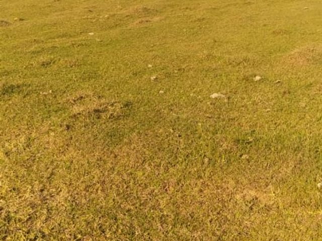 Terreno com 3197m², à venda, no bairro Tenentes em Extrema