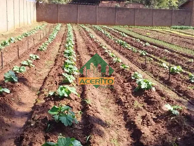 Terreno com 600m², à venda, no bairro Petit-Trianon em Araçatuba