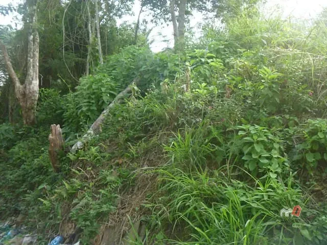 Terreno à venda, no bairro Mosela em Petrópolis