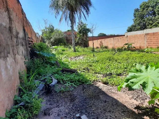 Terreno com 396m², à venda, no bairro Jardim Colúmbia em Campo Grande