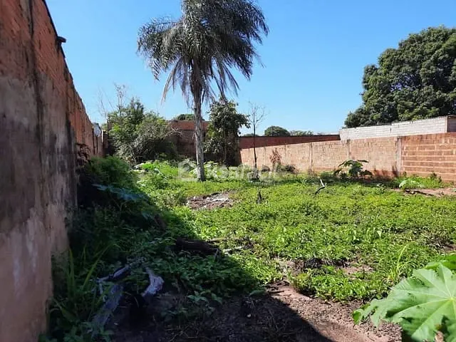 Terreno com 396m², à venda, no bairro Jardim Colúmbia em Campo Grande