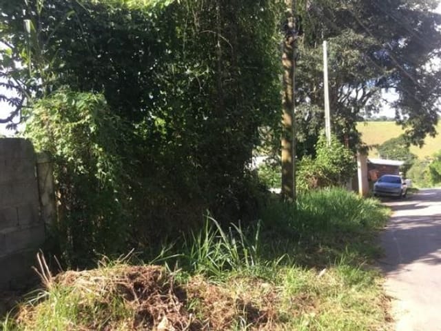 Foto do Terreno - Terreno à venda, 217 m² por R$ 45.000,00 - Mirante do Buquirinha - São José dos Campos/SP | INDEPENDENCE NEGOCIOS IMOBILIARIOS LTDA