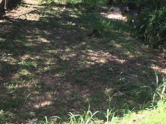 Foto do Terreno - Terreno à venda, 217 m² por R$ 45.000,00 - Mirante do Buquirinha - São José dos Campos/SP | INDEPENDENCE NEGOCIOS IMOBILIARIOS LTDA