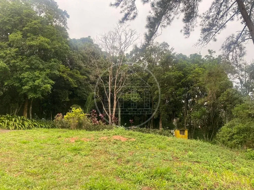 Terreno, 2 hectares - Foto 3
