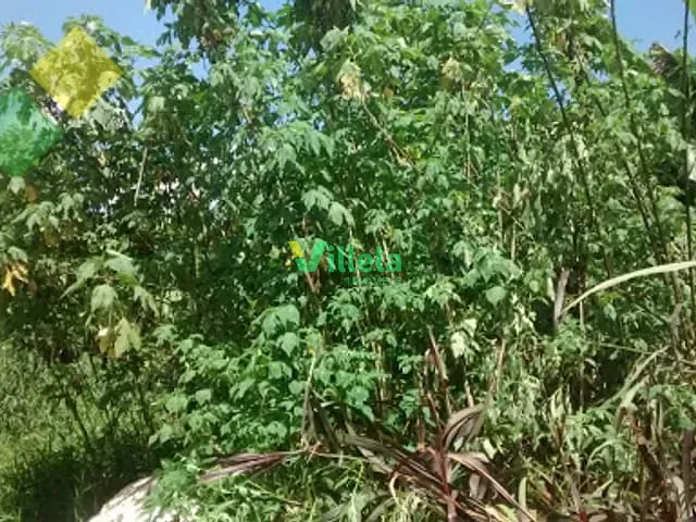 Terreno com 252m², à venda ou para alugar, no bairro Jardim São Armando em Itaquaquecetuba