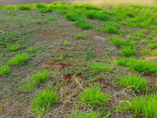 Terreno com 321m², à venda, no bairro Residencial Alto do Café em Cambé