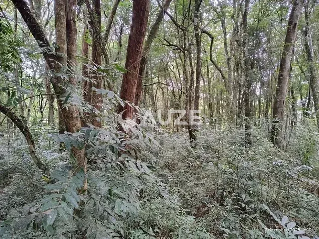 Terreno com 2m², à venda, no bairro Santa Felicidade em Curitiba