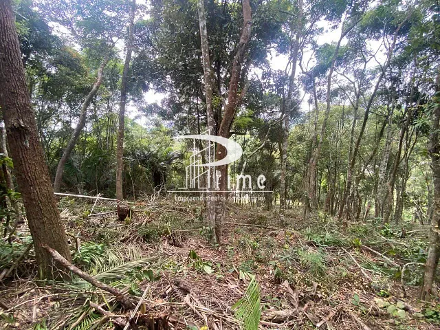 Terreno com 5000m², à venda, no bairro Várzea das Moças em Niterói